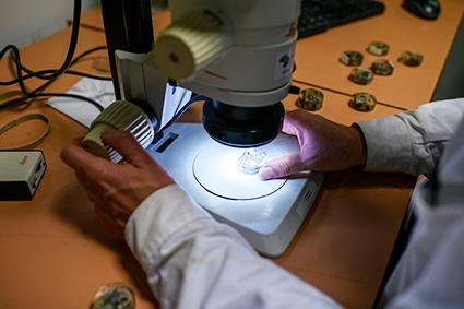 Photo (Horizontale, 10 cm (H) x 15 cm (L), en 300 dpi)