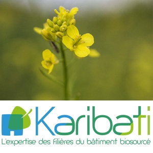 Karibati et ses partenaires ont inauguré la chaire Ambios Normandie. [©Karibati]