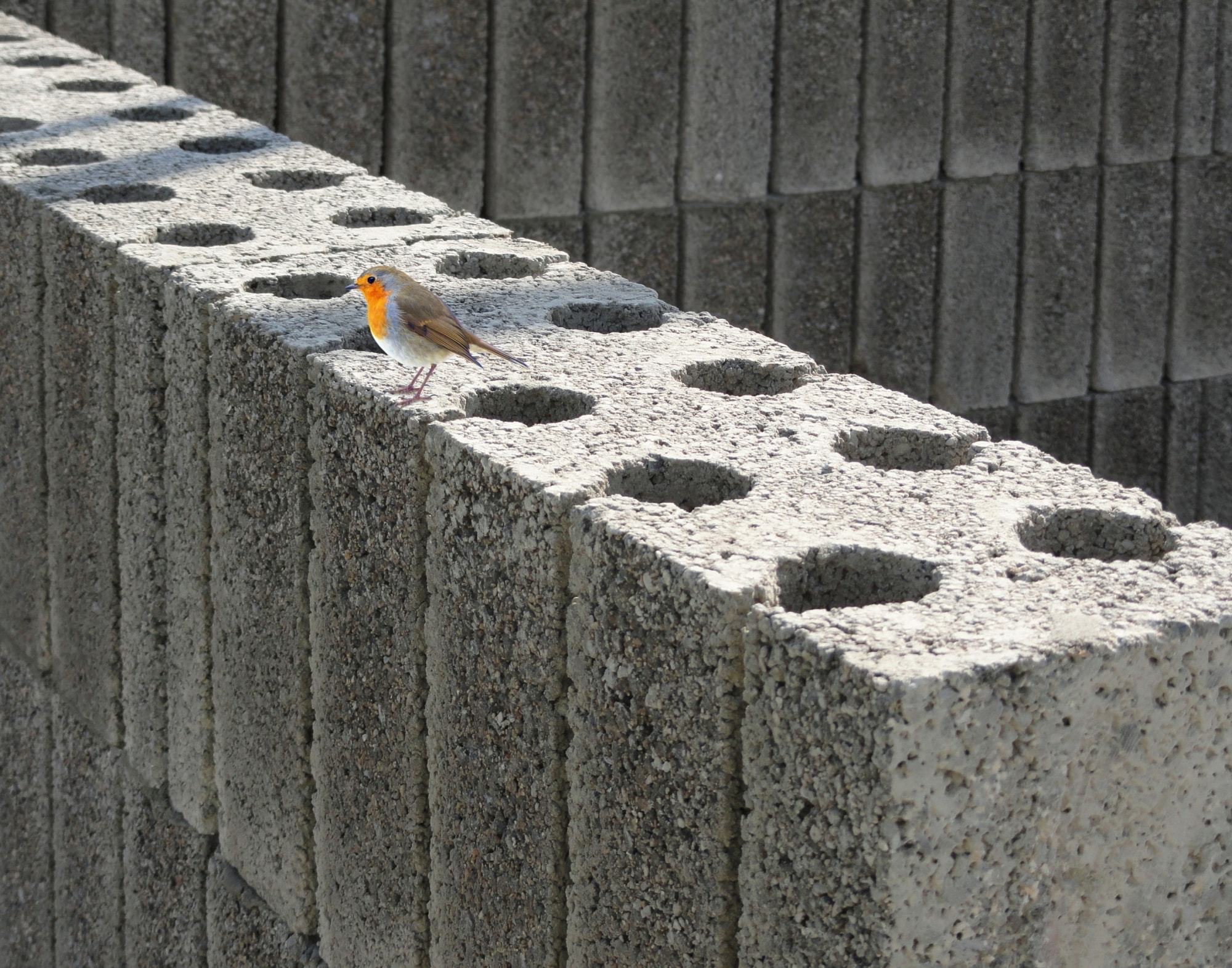 Alkern : Pour l’isolation acoustique haute performance