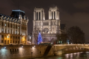 Le choix du matériau qui servira à la reconstruction de la charpente de la cathédrale Notre-Dame-de-Paris n’a pas encore été arrêté. [©ACPresse]