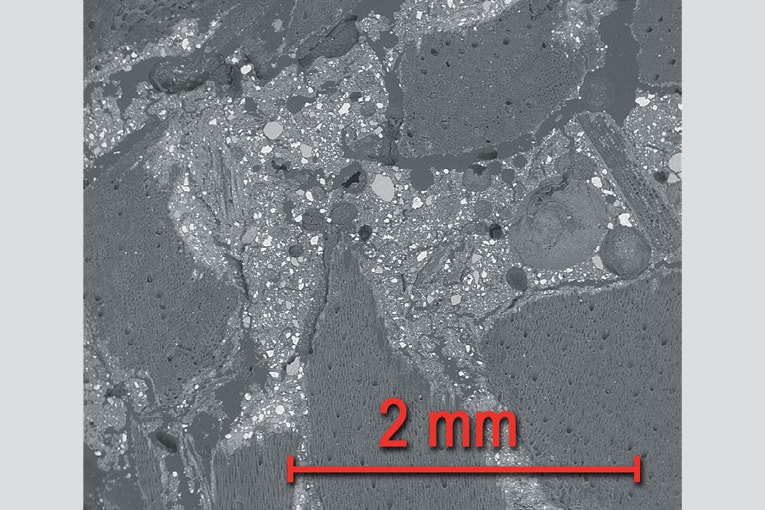 Microstructure du béton de chanvre observée par microscopie électronique à balayage.