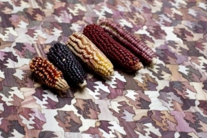 Le designer mexicain Fernando Laposse a développé le Totomoxtle, un revêtement élaboré à partir de feuilles d'épis de maïs. [©Fernando Laposse]