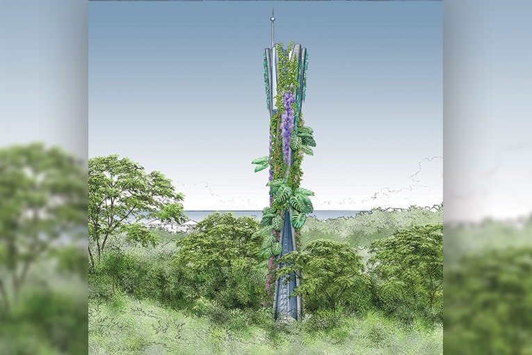 Le pylône peut être végétalisé. Les Jardins de Babylone sont les partenaires aptes à proposer une végétalisation, nécessitant peu d’entretien.