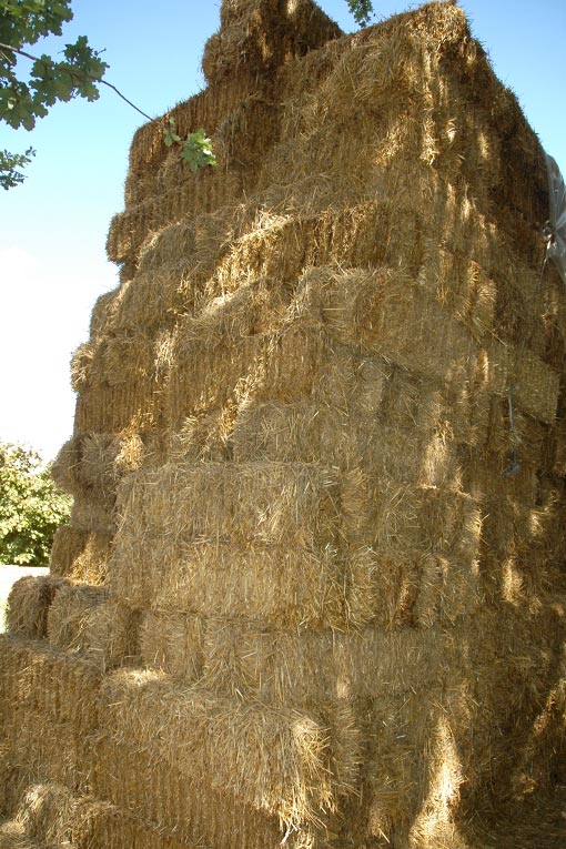 La paille, un isolant, naturel, renouvelable et disponible partout. [©Gérard Guérit]