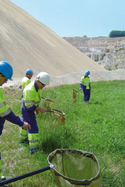 Réaménagement en zone humide à la carrière Chouvet, à Warluis (60). [©Unicem]