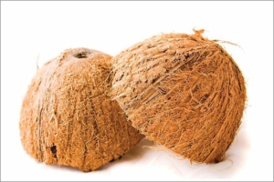 La fibre de coco, dans sa configuration d’origine, protection extérieure de la noix de coco. [©DR]