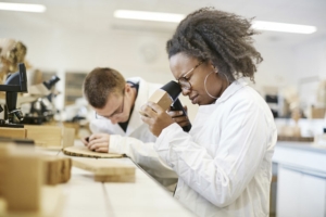 L’Ecole supérieure du bois a lancé un bachelor intitulé “Chef de chantier bois et bas carbone”[© ESB – Hadrien Brunner]