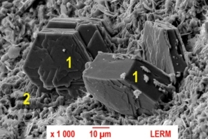 Fig. 1 - Cristal de portlandite non carbonaté (microscopie électronique à balayage, MEB). 1 = portlandite non carbonatée, 2 = C-S-H. [©Lerm]