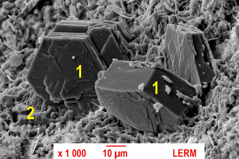 Fig. 1 - Cristal de portlandite non carbonaté (microscopie électronique à balayage, MEB). 1 = portlandite non carbonatée, 2 = C-S-H. [©Lerm]