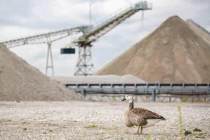 L’Union nationale des producteurs de granulats a été reconnue “Partenaire engagé pour la nature”. [©Unicem]