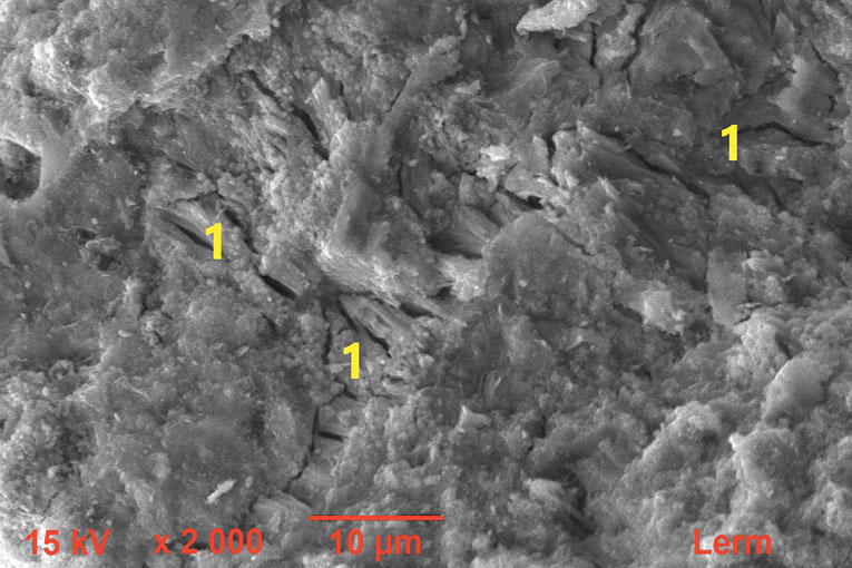 Ettringite différée massive (1), vue au microscope électronique à balayage. [©Lerm Setec]