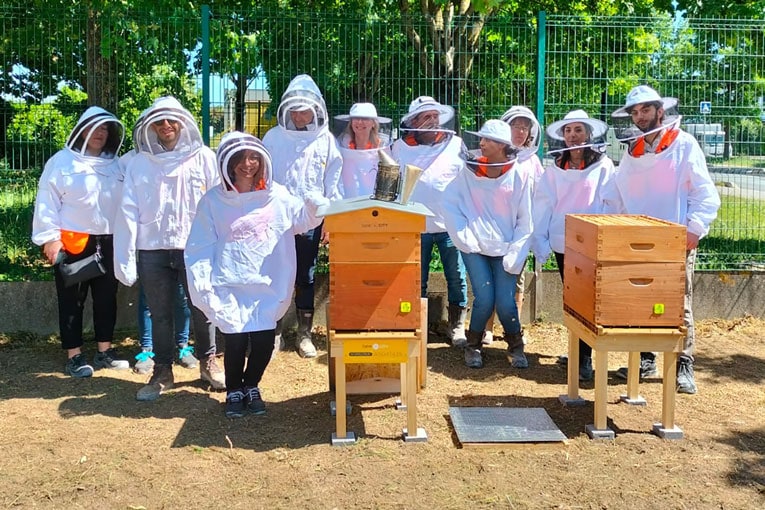 Sur plusieurs sites, SFB a mis en place des ruches. Une contribution à la lutte contre l’extinction des abeilles et pour la préservation de la biodiversité.
[©SFB]

