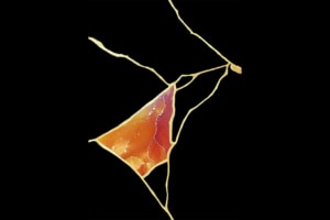 La L Galerie a ouvert ses portes l’an dernier à Ménilmontant, dans le 20e arrondissement de Paris. Aujourd’hui, elle présente l’exposition “Toutânbéton”.
