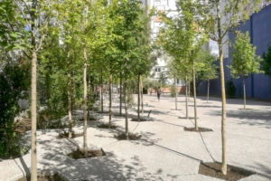 Le projet Lisière d’une Tierce Forêt a permis la création d’un îlot urbain de fraîcheur verdoyant. [©Fieldwork Architecture]