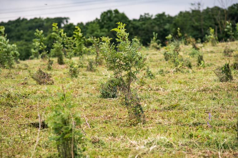 Réaménagement d’une carrière après son exploitation. [©ACPresse]