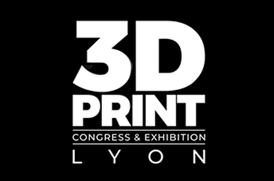 3D Print