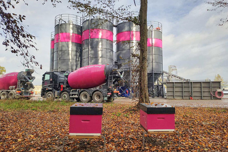 Sur 14 sites BSM, 13  accueillent désormais deux ruches chacun, aux couleurs de BSM : le fuchsia et le gris. [©La Ruche de Yanège]