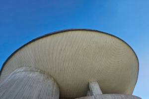 D’une capacité d’environ 600 places environ, l’église Sainte-Jeanne-d’Arc de Verdun se distingue par son plan ovoïde. [©Sophie Meier]