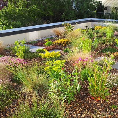 Trois nouvelles règles professionnelles pour la végétalisation