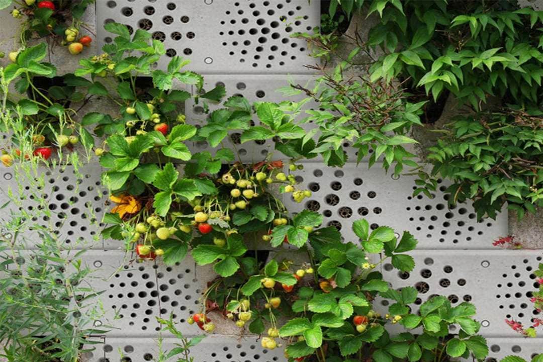 Les abeilles dorment à l’hôtel aux Pays-Bas