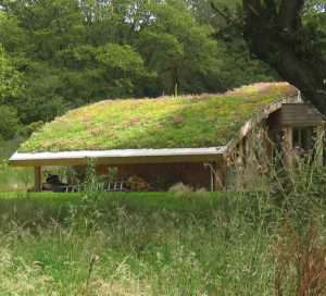 Derbisedum Pack, des bacs pré-cultivés modulaires pour la végétalisation extensive des toitures et des espaces verts. [©Derbigum]