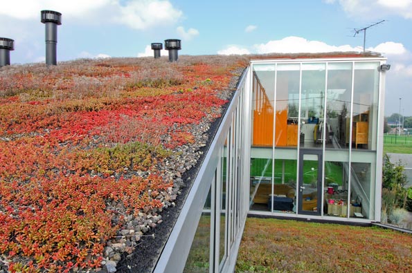 Firestone Building Products : Pour toitures végétalisées