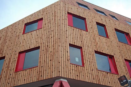 Salola Environnement : De la couleur, rien que de la couleur