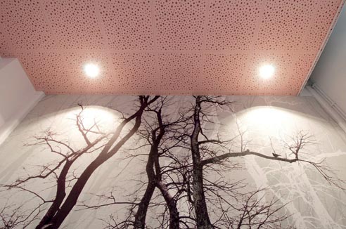 Knauf Danoline : Un nouveau plafond démontable