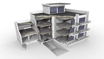 Rector : Sous le signe de la sérénité