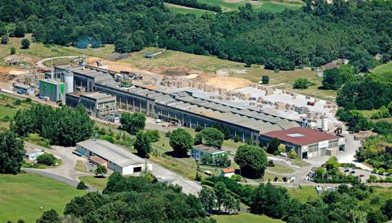 Les résultats positifs de Steico sur le marché français