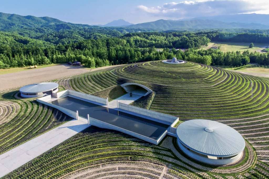 Située au Nord du Japon, la colline de Bouddha est un temple souterrain, à l’exception d’une immense statue de Bouddha, dont seule la tête dépasse du sol. [©Shigeo-Ogawa/ Tadao Ando ]