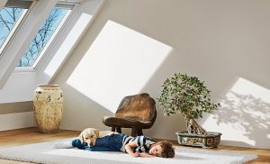 Velux2