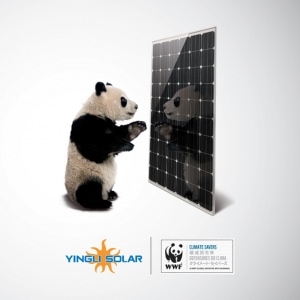 Vignette Yingli Climate Savers WWF carree.indd