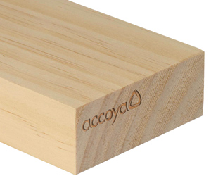 accoya_träbit